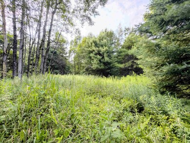 00 Woodsville Rd unit 11, Monroe, NH 03771 - photo 2