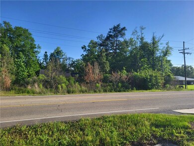 9.88 acres U S Highway 190, Hammond, LA 70401 - photo 4