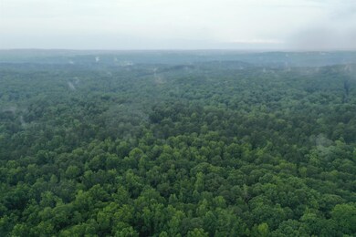 00 Moore Mountain Rd, Pittsboro, NC 27312 - photo 5