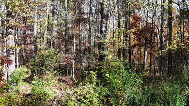 0000 Poplar St, Woodruff, SC 29388 - photo 2