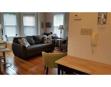 15 Trowbridge St unit 10, Cambridge, MA 02138 - photo 4