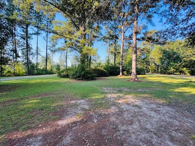 97 Keith Ln, Wagarville, AL 36585 - photo 6