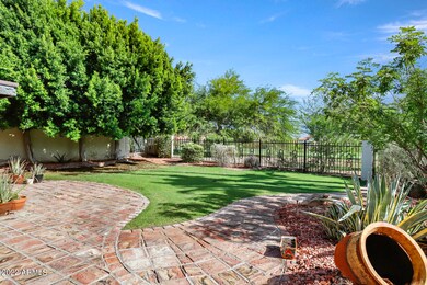 Backyard - View 2