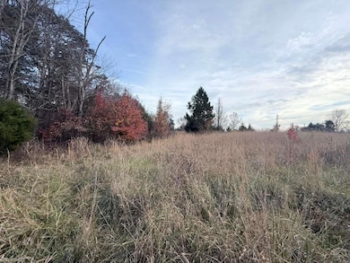 0 Tom Ball Rd, Randleman, NC 27317 - photo 6