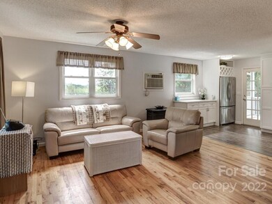 1076 Bear Creek Rd, Leicester, NC 28748 - photo 5