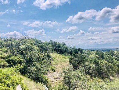 23215 Linwood Ridge, San Antonio, TX 78255 - photo 6