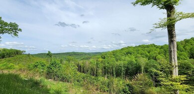 0 Bailes Rd, Nettie, WV 26681 - photo 7