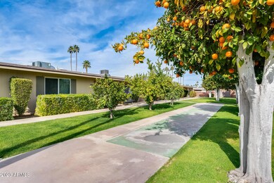 10907 W Santa fe Dr unit 4, Sun City, AZ 85351 - photo 3