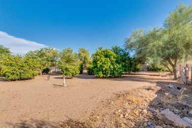 Over an Acre of County Island Paradise