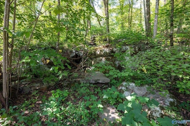 6.5 Acres Rock Spring Rd, Owens Cross Roads, AL 35763 - photo 2