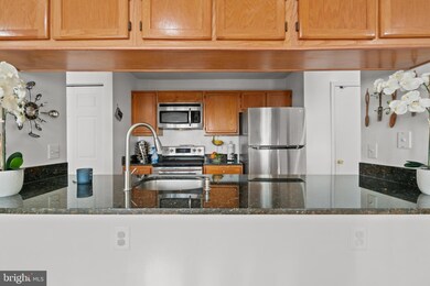 14201 Woolen Oak Ct unit 4, Silver Spring, MD 20906 - photo 6