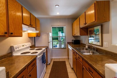 1100 Goeglein Gulch Rd unit 235, Durango, CO 81301 - photo 5