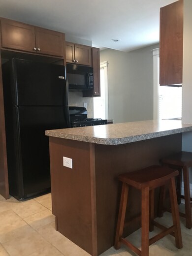 18 S Washington Ave unit BACK, Batavia, IL 60510 - photo 5