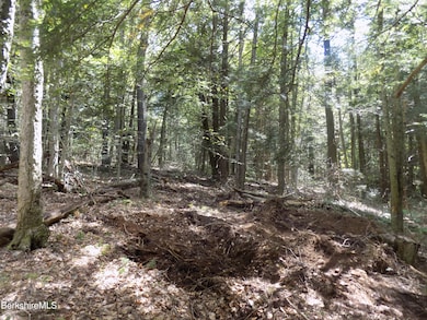 0 Moberg Rd, Becket, MA 01223 - photo 6
