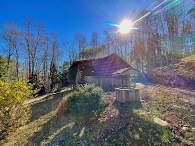 313 Current Loop, Hillsville, VA 24343 - photo 7