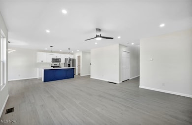 5197 Milo Ave, Maple Heights, OH 44137 - photo 4