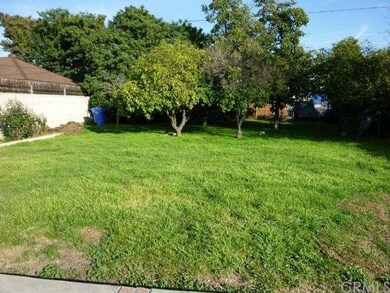 Rear Yard