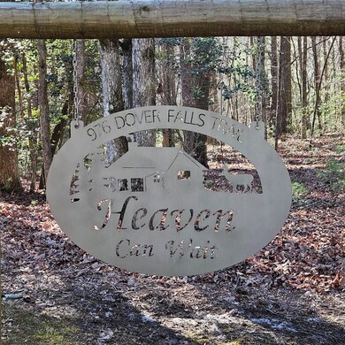 976 Dover Falls Trail, Ellijay, GA 30540 - photo 4