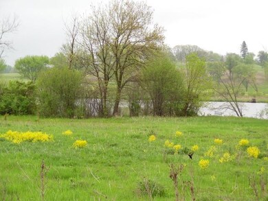 24493 N Woodland Ave, Cary, IL 60013 - photo 4