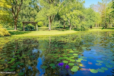 119 Ceasar Rd, Picayune, MS 39466 - photo 3