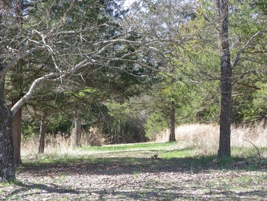 IMGP0519