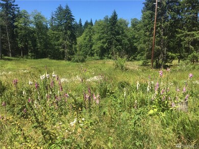 0 Lalka Ln unit 1149793, Langley, WA 98260 - photo 2