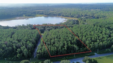 TBD SE 170th Ave, Ocklawaha, FL 32179 - photo 3