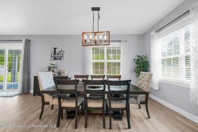 9170 Bunting Rd, Weeki Wachee, FL 34613 - photo 7