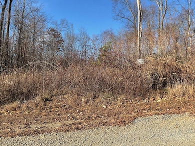 TBD W Pheasant Chase, Fancy Gap, VA 24053 - photo 7