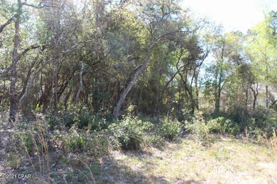 2702 W Forbes Place, Citrus Springs, FL 34434 - photo 6