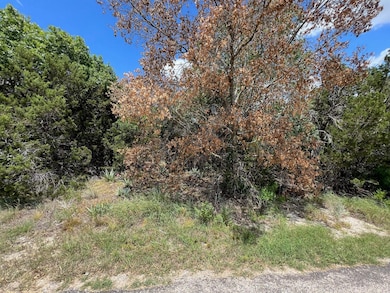 2623 Creekview Dr, Granbury, TX 76048 - photo 3