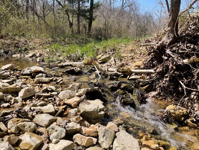 Tbd Center Rd, Ozark, MO 65721 - photo 2