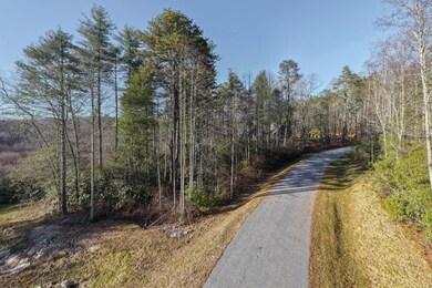 59 Bottlebrush Dr, Cashiers, NC 28717 - photo 4