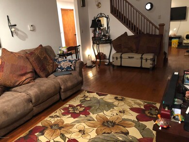 Image-1