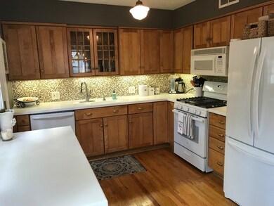 341 S Julian St, Naperville, IL 60540 - photo 4