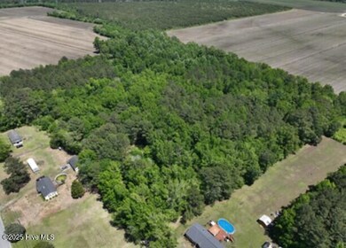 Ariel View