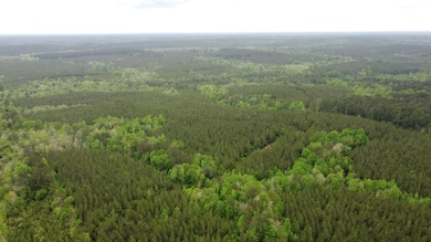 0 Pugh Rd, Shubuta, MS 39360 - photo 3