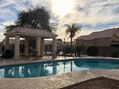 COMMUNITY POOL