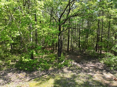 295 Waters Rd, Iva, SC 29655 - photo 3