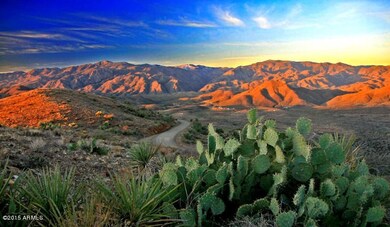Bradshaw Mountains