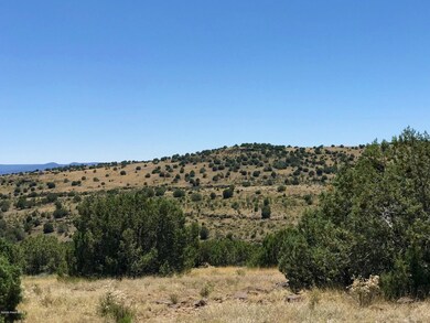 0 Picacho Butte unit 1032224, Ash Fork, AZ 86320 - photo 3