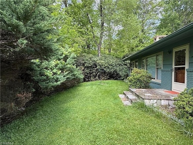 Back yard