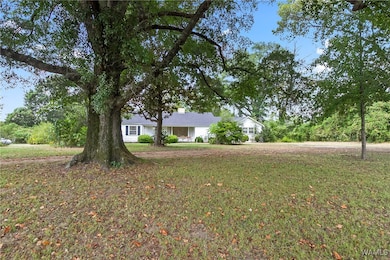 16699 Romulus Rd, Ralph, AL 35480 - photo 4