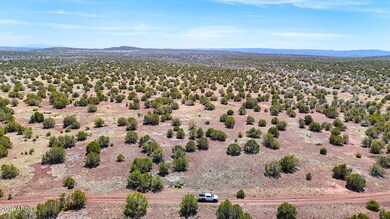 dji_fly_20250530_130230_0015_17487150043