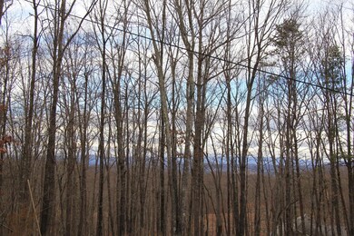 Long Mountain Views...