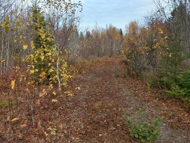 IMG_20191022_135049479_HDR