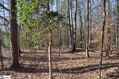 00 Union Hwy, Enoree, SC 29335 - photo 5