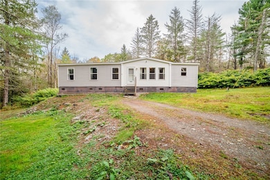 17 Billy Goat Hill Rd, Windsor, NY 13865 - photo 5