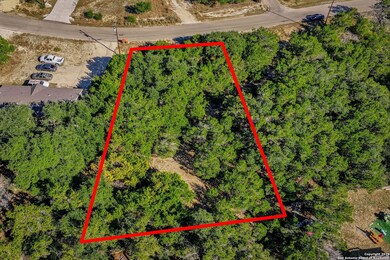 354 Buck Run Pass, Canyon Lake, TX 78133 - photo 5