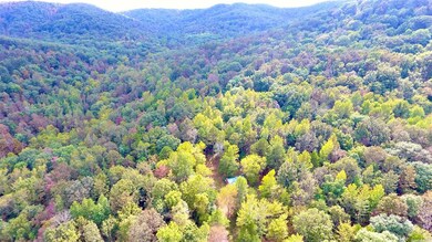 40ac Forest Service Rd 116, Patrick, AR 72727 - photo 7